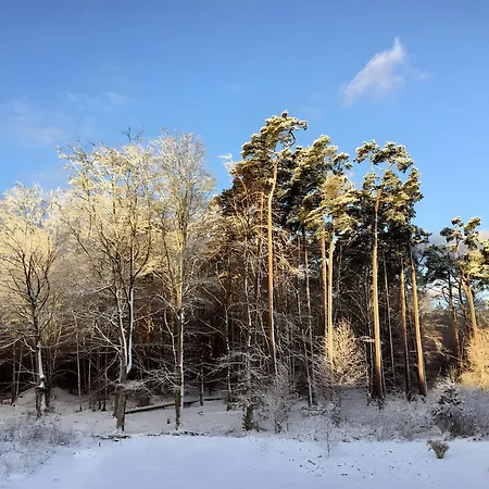 Lieblingsinsel 格拉尔-米里茨